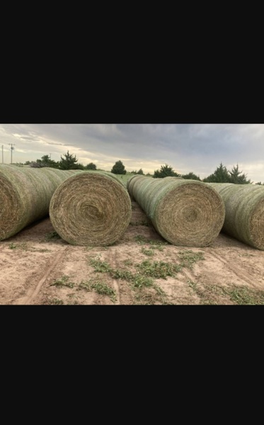 SALE - Exchange Ad 168036, Adair (County)