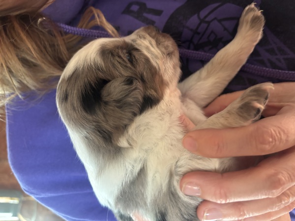 SALE - Exchange Ad 168718, Jasper (County)