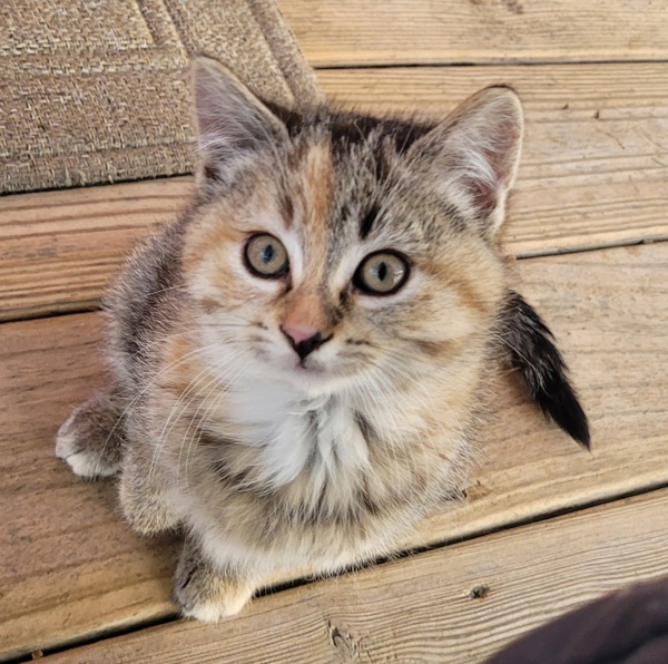 SALE - Exchange Ad 168413, Dubuque (County)