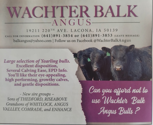 SALE - Exchange Ad 171013, Lucas (County)