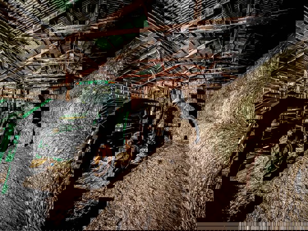 SALE - Exchange Ad 168429, Worth (County)